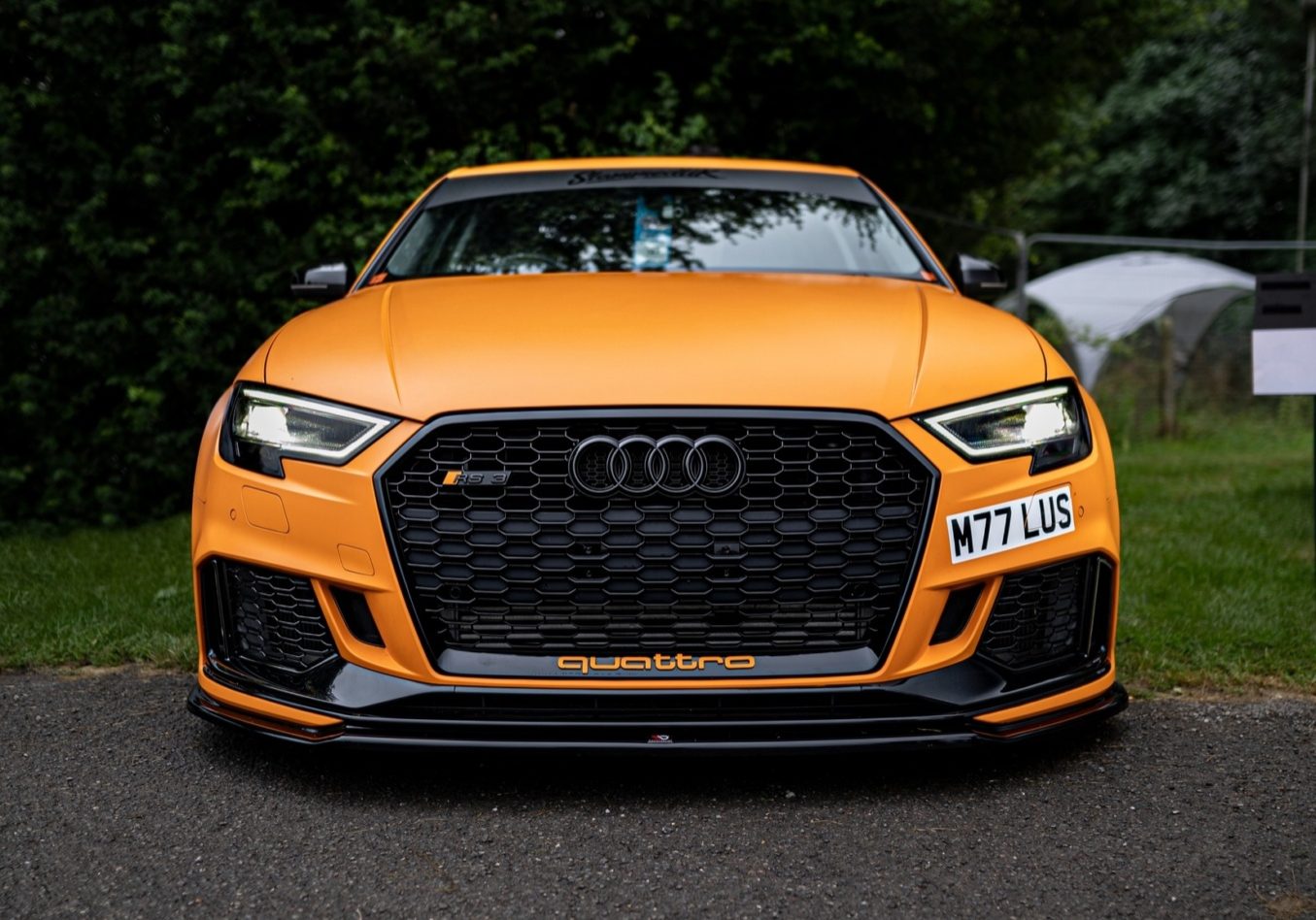 Unsplash Photo Tiger Ellis Oatley-Summers